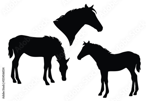 two young ranch horses standing and grazing - black and white baby foal vector silhouette set