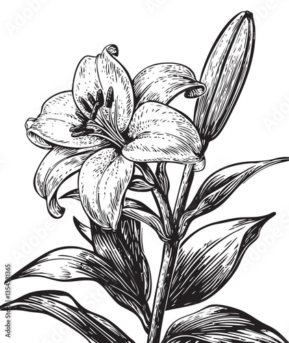 EPS showing a delicate lily often associated with Easter traditions