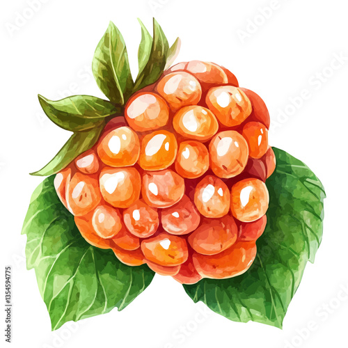 Cloudberry Slice, watercolor illustration, isolated on a white background.