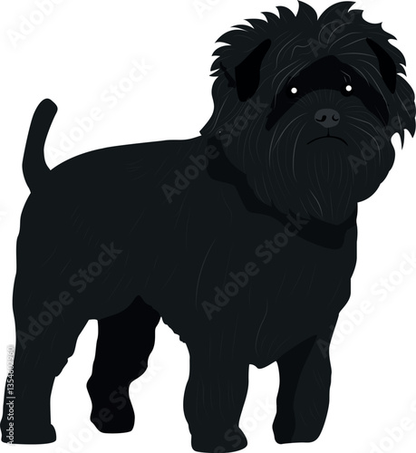 Affenpinscher