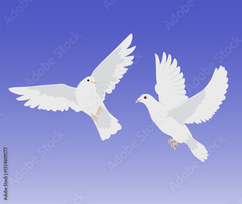 two pigeons flying together in the blue sky vector illustration