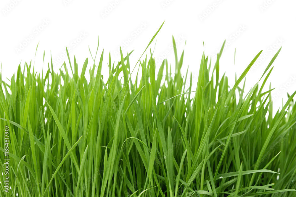 Grass clipping image. For compositing. Grass clipping image. For compositing.