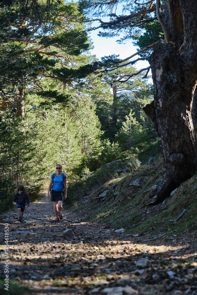Obraz premium Mother teaches her son to follow a route through the forest with a smartphone