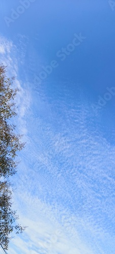 This image captures a beautiful daytime sky with a gradient of blue shades, transitioning from a deeper blue at the top to a lighter hue towards the bottom