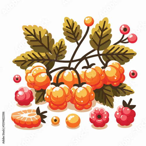 berry, cloudberry, food, natural, nature, healthy, fresh, background, organic, isolated, ripe, juicy, fruit, summer, illustration, orange, green, sweet, vitamin, leaf, nordic, plant, red, forest, tast