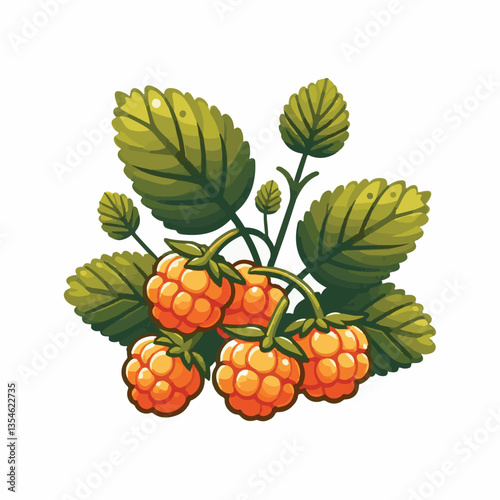berry, cloudberry, food, natural, nature, healthy, fresh, background, organic, isolated, ripe, juicy, fruit, summer, illustration, orange, green, sweet, vitamin, leaf, nordic, plant, red, forest, tast