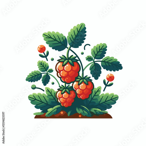 berry, cloudberry, food, natural, nature, healthy, fresh, background, organic, isolated, ripe, juicy, fruit, summer, illustration, orange, green, sweet, vitamin, leaf, nordic, plant, red, forest, tast