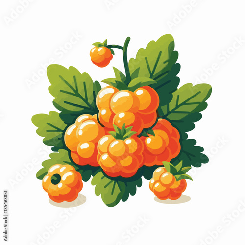 berry, cloudberry, food, natural, nature, healthy, fresh, background, organic, isolated, ripe, juicy, fruit, summer, illustration, orange, green, sweet, vitamin, leaf, nordic, plant, red, forest, tast