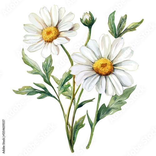 watercolor of Dahlberg Daisy Branch, isolated on a white background.