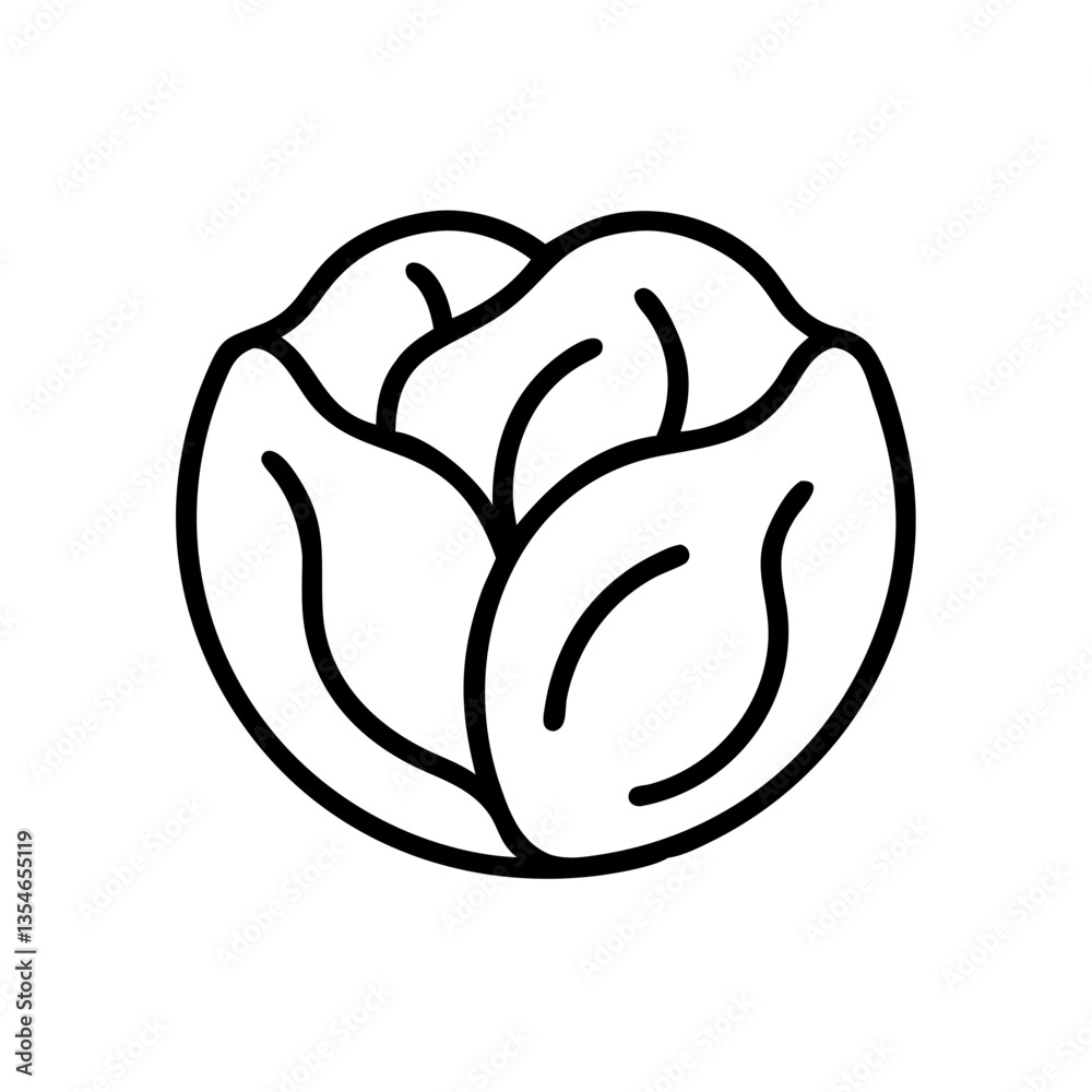 Cabbage Cabbage