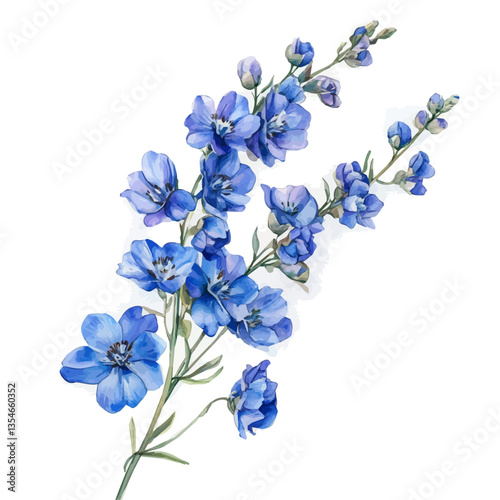 Delphinium Branch, watercolor illustration, isolated on a white background.