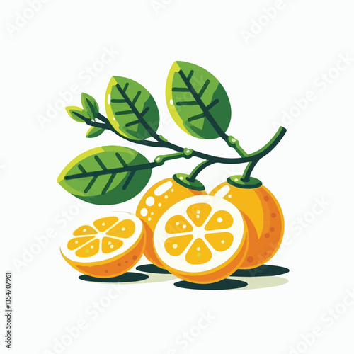 citrus, green, fresh, fruit, organic, food, tropical, background, closeup, juicy, nature, juice, ripe, healthy, vitamin, isolated, leaf, yellow, color, orange, natural, sweet, white, diet, object, veg