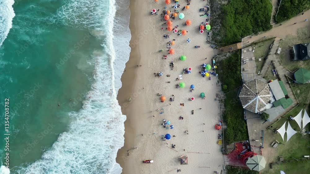Praia Mole Florianópolis Surfistas