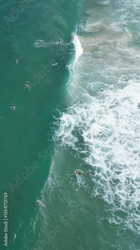 Praia Mole Florianópolis Surfistas