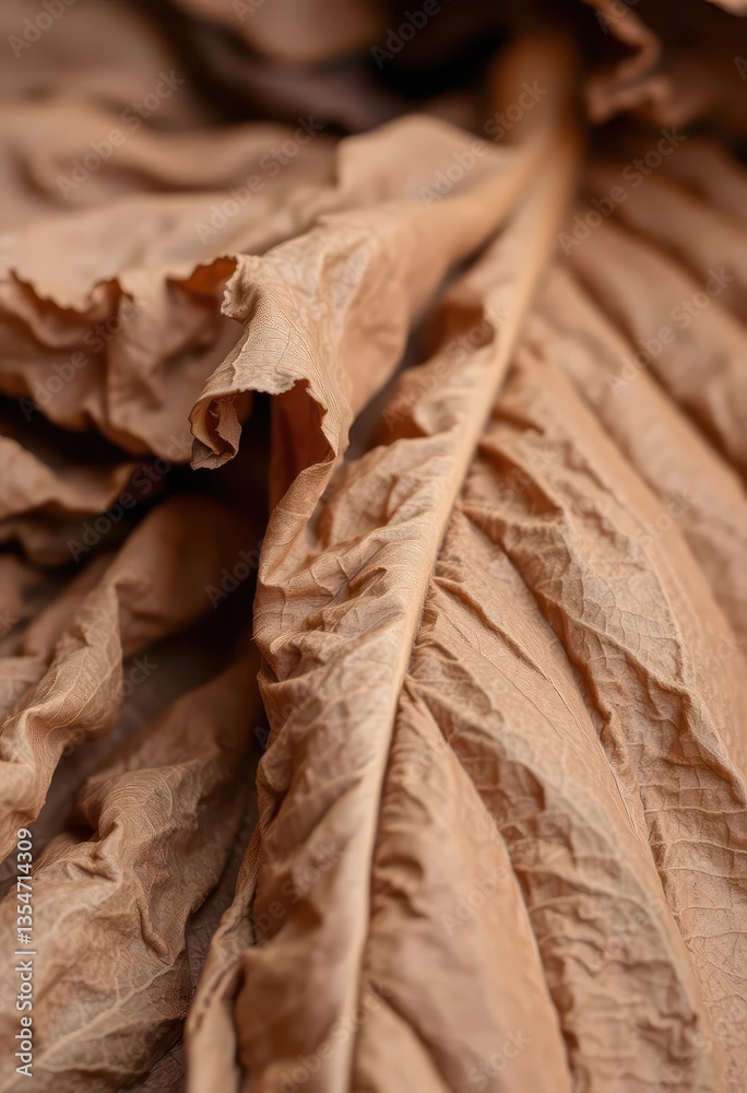 Dry, crumpled tobacco leaves showing veins and texture, rustic background, dry Dry, crumpled tobacco leaves showing veins and texture, rustic background, dry