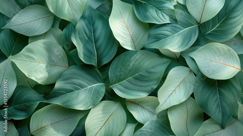 Wallpaper Mural Vibrant green leaves in natural pattern with subtle red veins Torontodigital.ca