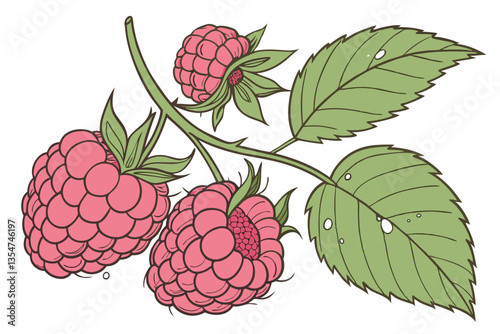 12 Vibrant pink raspberries, Macro photography, Hyper-realistic, Bright green leaves, Freshly picked, Dewdrops, Soft natural lighting, White background, Sharp focus, High detail, Organic texture, Food