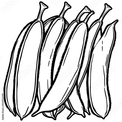 Sleek Monochrome Botanical Illustration of Elongated Plant Forms in Sinuous Lines