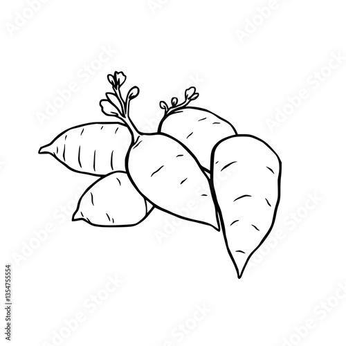 Nourishing Roots A Simple Yet Versatile Delight of Nature s Wholesome Bounty