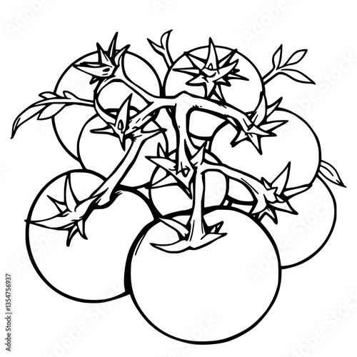 Vibrant Tomato Harvest A Botanical Illustration of Plump Prickly Summer Treasures