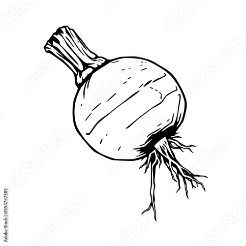 Rustic Hand-Drawn Illustration of a Plump Radish Vegetable with Lush Greens and Roots