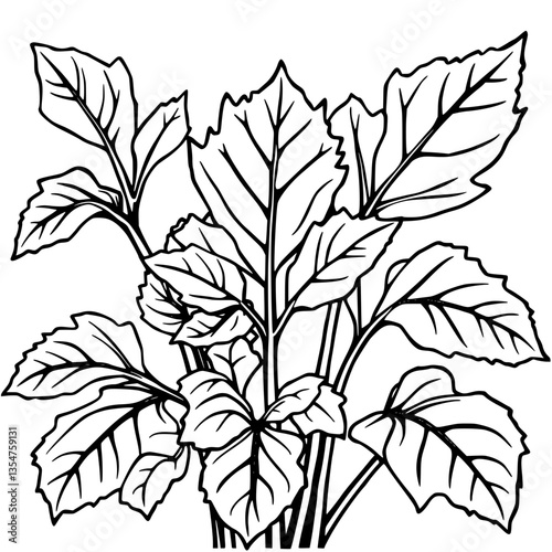 Botanical Illustration of Lush Verdant Foliage Nature s Artistry in Monochrome Elegance
