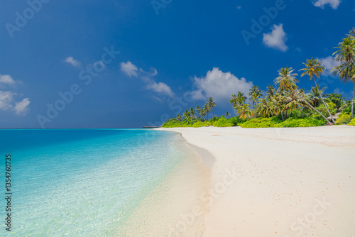 Fototapeta Naklejka Na Ścianę i Meble -  Beautiful tropical beach scene. White sandy seaside coconut palm trees travel tourism panoramic island. Amazing beach landscape. Exotic nature, sunny tranquil peaceful inspire seascape blue sea sky