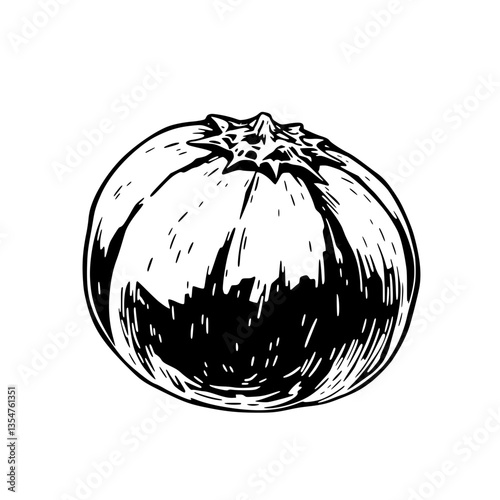 Succulent Superstar A Mouthwatering Monochrome Melon Celebration of Summer s Bountiful Harvest