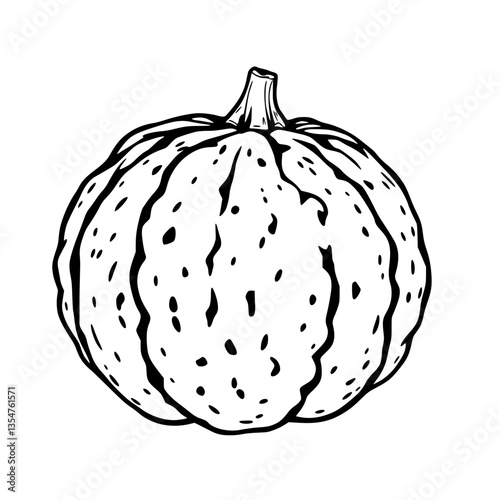 Striking Monochrome Sketch of a Plump Textured Pumpkin - Nature s Autumn Essence Captured Vividly