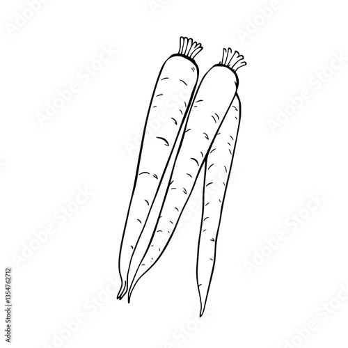 Crunchy Carrot Companions A Veggie Delight Sketch of Nature s Sweet and Earthy Offering