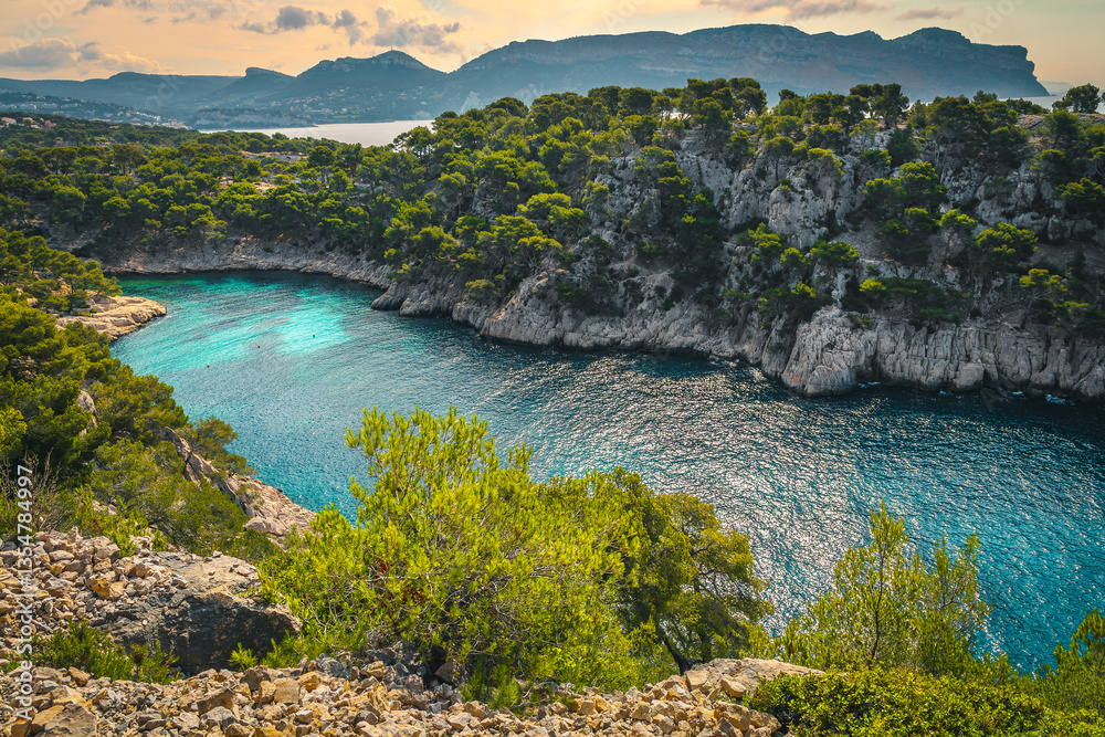Calanque de Port Pin bay view near Cassis, Marseille, France