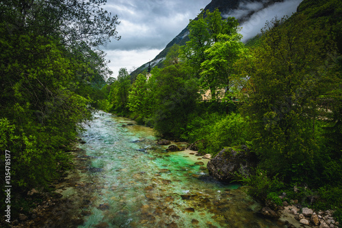 Obraz na płótnie Beautiful Soca river in the fresh green forest, Bovec, Slovenia w salonie