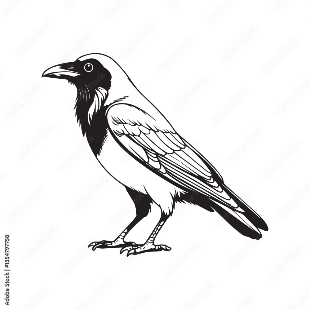 Fototapeta premium Minimalist Crow Line Art Illustration,simple Raven Outline Drawing,One Line Crow Bird Sketch,Black and White Crow Vector Art,Hand Drawn Raven Outline Design
