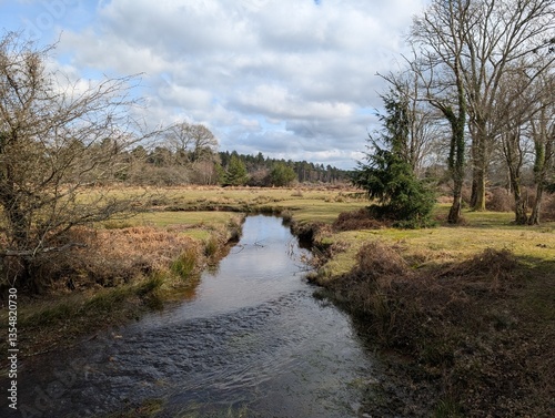 Beautiful stream and landscape 