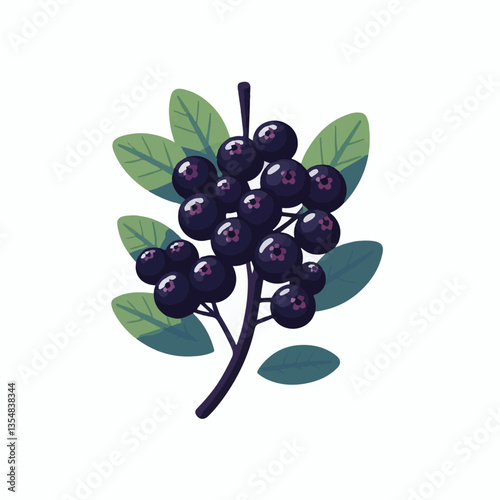 chokeberry, nature, leaf, plant, aronia, berry, fruit, black, ripe, branch, food, green, fresh, healthy, natural, garden, background, nutrition, organic, bush, berries, autumn, raw, closeup, leaves, h