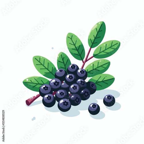 chokeberry, nature, leaf, plant, aronia, berry, fruit, black, ripe, branch, food, green, fresh, healthy, natural, garden, background, nutrition, organic, bush, berries, autumn, raw, closeup, leaves, h