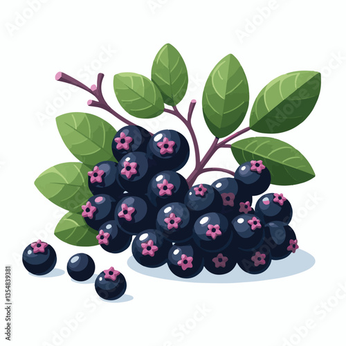 chokeberry, nature, leaf, plant, aronia, berry, fruit, black, ripe, branch, food, green, fresh, healthy, natural, garden, background, nutrition, organic, bush, berries, autumn, raw, closeup, leaves, h