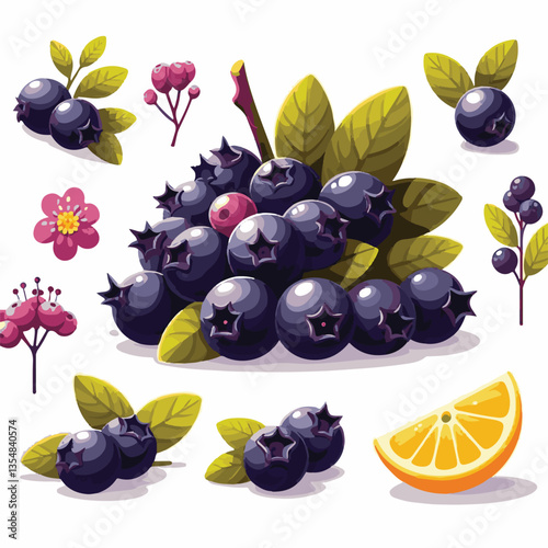 chokeberry, nature, leaf, plant, aronia, berry, fruit, black, ripe, branch, food, green, fresh, healthy, natural, garden, background, nutrition, organic, bush, berries, autumn, raw, closeup, leaves, h