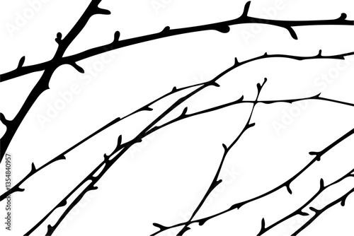 
simple spring background of twigs with buds on white