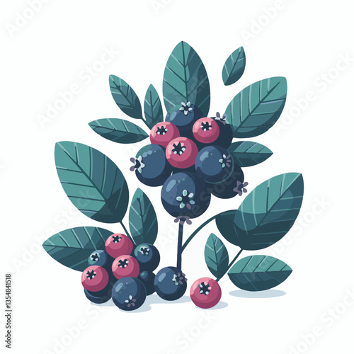chokeberry, nature, leaf, plant, aronia, berry, fruit, black, ripe, branch, food, green, fresh, healthy, natural, garden, background, nutrition, organic, bush, berries, autumn, raw, closeup, leaves, h