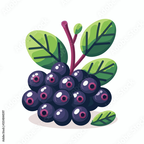 chokeberry, nature, leaf, plant, aronia, berry, fruit, black, ripe, branch, food, green, fresh, healthy, natural, garden, background, nutrition, organic, bush, berries, autumn, raw, closeup, leaves, h