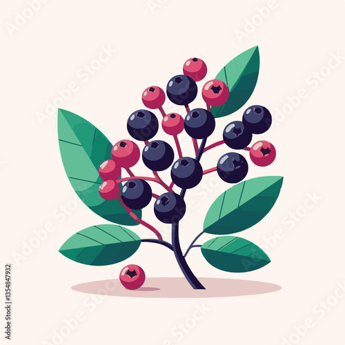 chokeberry, nature, leaf, plant, aronia, berry, fruit, black, ripe, branch, food, green, fresh, healthy, natural, garden, background, nutrition, organic, bush, berries, autumn, raw, closeup, leaves, h