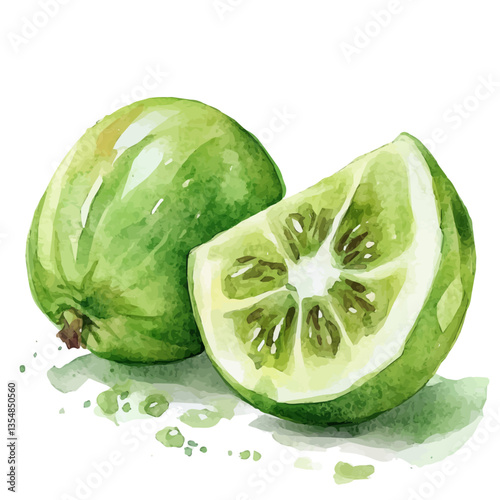 Gooseberry Slice, watercolor illustration, isolated on a white background.