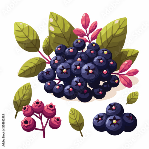 chokeberry, nature, leaf, plant, aronia, berry, fruit, black, ripe, branch, food, green, fresh, healthy, natural, garden, background, nutrition, organic, bush, berries, autumn, raw, closeup, leaves, h