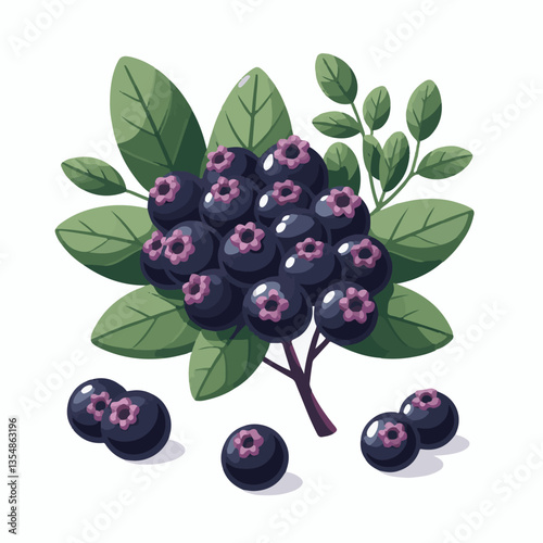 chokeberry, nature, leaf, plant, aronia, berry, fruit, black, ripe, branch, food, green, fresh, healthy, natural, garden, background, nutrition, organic, bush, berries, autumn, raw, closeup, leaves, h
