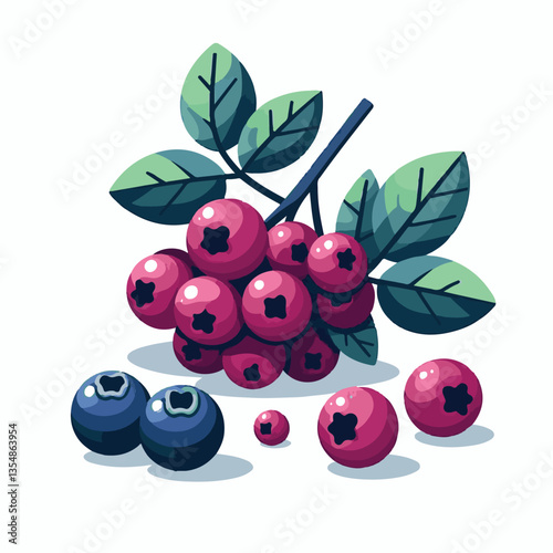 chokeberry, nature, leaf, plant, aronia, berry, fruit, black, ripe, branch, food, green, fresh, healthy, natural, garden, background, nutrition, organic, bush, berries, autumn, raw, closeup, leaves, h