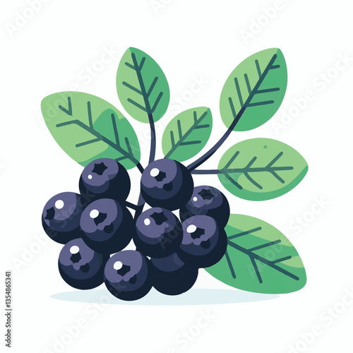 chokeberry, nature, leaf, plant, aronia, berry, fruit, black, ripe, branch, food, green, fresh, healthy, natural, garden, background, nutrition, organic, bush, berries, autumn, raw, closeup, leaves, h