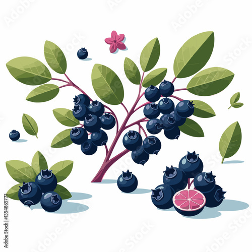 chokeberry, nature, leaf, plant, aronia, berry, fruit, black, ripe, branch, food, green, fresh, healthy, natural, garden, background, nutrition, organic, bush, berries, autumn, raw, closeup, leaves, h