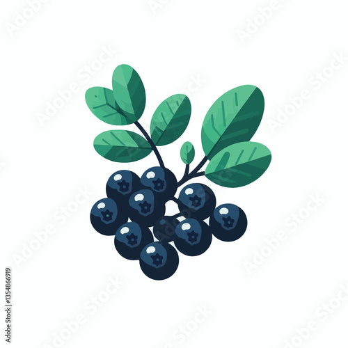 chokeberry, nature, leaf, plant, aronia, berry, fruit, black, ripe, branch, food, green, fresh, healthy, natural, garden, background, nutrition, organic, bush, berries, autumn, raw, closeup, leaves, h