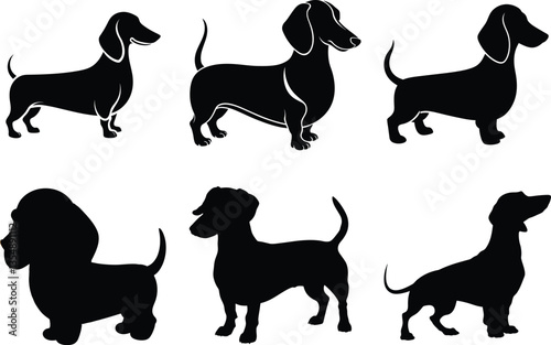 Set of dog silhouettes in a vector illustration style featuring various animals including wild and domestic species